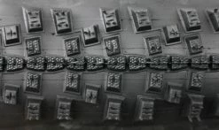 Pneu Schwalbe Smart Sam - Addix -Pneus Vtt Soldes Pneu Schwalbe Smart Sam Plus 2017 Dual SnakeSkin GreenGuard macro 1235x735